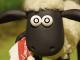 Der magische Blick