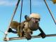 Der Drachenflieger