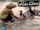 Wildes China