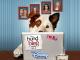 Disney hund mit blogStaffel 1Volume 2