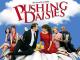 Pushing Daisies - Staffel 2