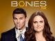 Bones - Staffel 9 [OV]