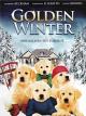 Golden Winter - Wir suchen ein Zuhause