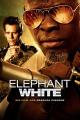 Elephant White