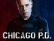 Chicago P.D. - Staffel 1 [OV]