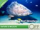 Blue Reef AdventuresStaffel 2