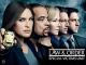 Law & Order: Special Victims Unit Season 17 [OV]