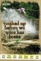 Washed up Before We Were Has Beens [OV]