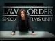 Law & Order: Special Victims Unit Staffel 16 [dt./OV]