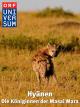 Hyänen - Die Königinnen der Masai Mara
