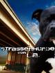 Strassenhunde Von L.A.