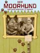 Der Moorhund: Der geheimnisvolle Sumpf