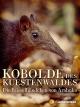 Koboldes des Küstenwaldes - Die Rüsselhündchen von Arabuko
