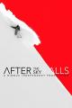 After the Sky Falls [OV]
