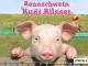 Rennschwein Rudi Rüssel - Staffel 2