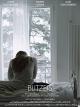 Blitzeis
