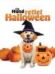Ein Hund rettet Halloween