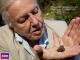David Attenborough's Natural CuriositiesSeason 1 [OV]
