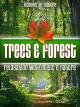 Trees & Forest: Echoes of Nature Relaxation with Music & Nature