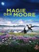Magie der Moore