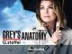 Grey's Anatomy - Staffel 12 [dt./OV]