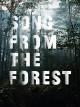 Song from the Forest (OmU)