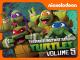Teenage Mutant Ninja Turtles - Volume 5 [OV]
