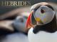 Island On The Edge - Staffel 1 [dt./OV]