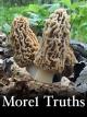 Morel Truths: What are Morel Mushrooms? (episode 1) [OV]