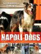 Napoli Dogs - Ein Hundeleben in Neapel