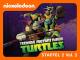 Teenage Mutant Ninja Turtles Staffel 2Teil 2 [dt./OV]