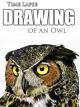 Clip: Time Lapse Drawing of an Owl [OV]