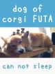 dog of corgi FUTA - can not sleep [OV]