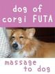 dog of corgi FUTA - massage to dog [OV]