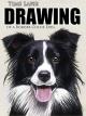 Clip: Time Lapse Drawing of a Border Collie Dog [OV]