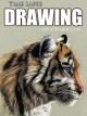 Clip: Time Lapse Drawing of a Tiger Cub [OV]