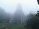 Tikal: Guatemala's Pride