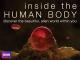 Inside the Human Body - Season 1 [OV]