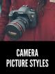 What is a Picture Style? How to Choose the Right One [OV]