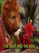 The Adventures of Bingo and Molly-The Daisy and the Rose [OV]