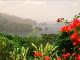 Trinidad and Tobago: Where East Meets West