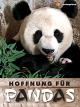 Hoffnung für Pandas