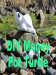 DIY Money Pot Turtle [OV]
