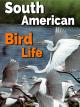 South American Bird Life [OV]