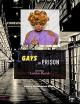 Gays in Prison [OV]