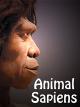 Animal Sapiens [OV]