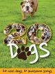 Twenty Dogs [OV]