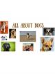 All About Dogs [OV]