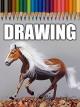 Clip: Time Lapse Drawing of a Running Horse [OV]
