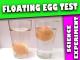 Floating egg science experiment!